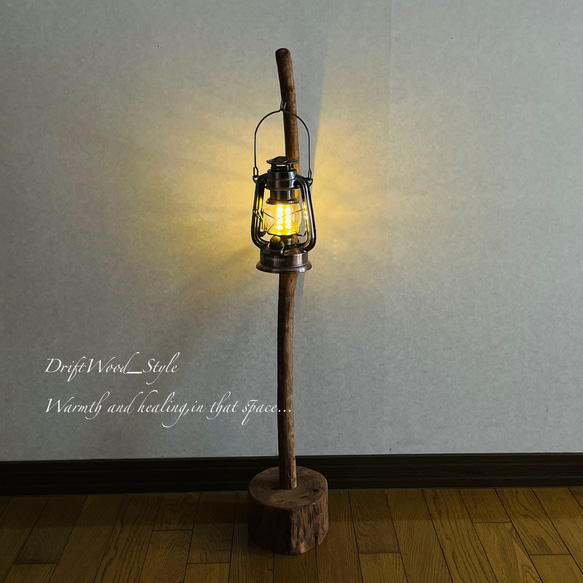 流木インテリア 曲線を描くシンプルな流木スタンド ランタンやエアプラントを飾れる置物 北欧 照明 木材 N62 6枚目の画像