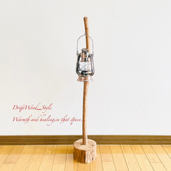 流木インテリア 曲線を描くシンプルな流木スタンド ランタンやエアプラントを飾れる置物 北欧 照明 木材 N62 7枚目の画像