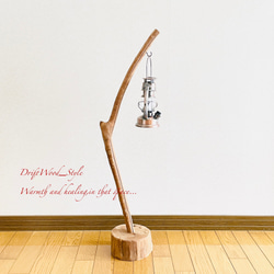 流木インテリア 曲線を描くシンプルな流木スタンド ランタンやエアプラントを飾れる置物 北欧 照明 木材 N62 3枚目の画像