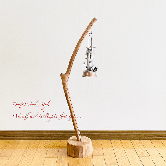 流木インテリア 曲線を描くシンプルな流木スタンド ランタンやエアプラントを飾れる置物 北欧 照明 木材 N62 3枚目の画像