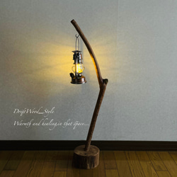 流木インテリア 曲線を描くシンプルな流木スタンド ランタンやエアプラントを飾れる置物 北欧 照明 木材 N62 9枚目の画像