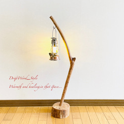 流木インテリア 曲線を描くシンプルな流木スタンド ランタンやエアプラントを飾れる置物 北欧 照明 木材 N62 8枚目の画像