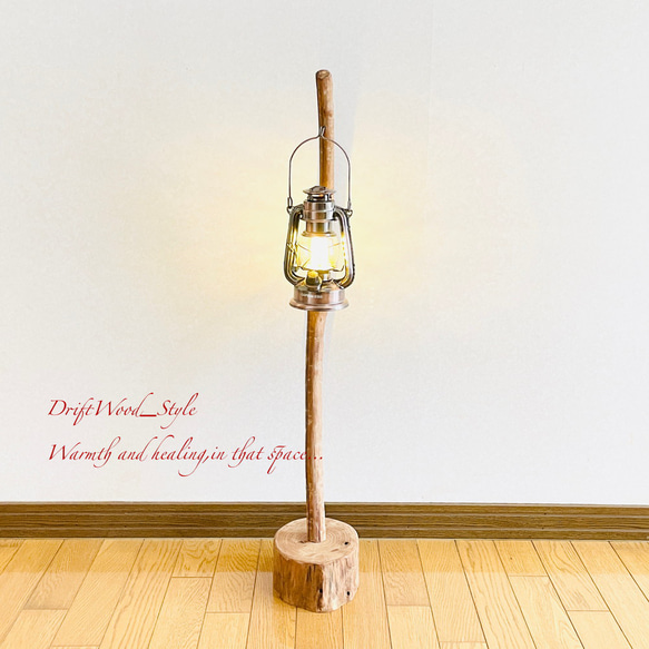 流木インテリア 曲線を描くシンプルな流木スタンド ランタンやエアプラントを飾れる置物 北欧 照明 木材 N62 5枚目の画像