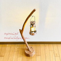 流木インテリア 曲線を描くシンプルな流木スタンド ランタンやエアプラントを飾れる置物 北欧 照明 木材 N62 4枚目の画像