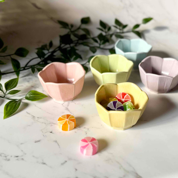 おしゃれ桔梗型豆鉢 　和モダン　マカロンシリーズ5色 1枚目の画像