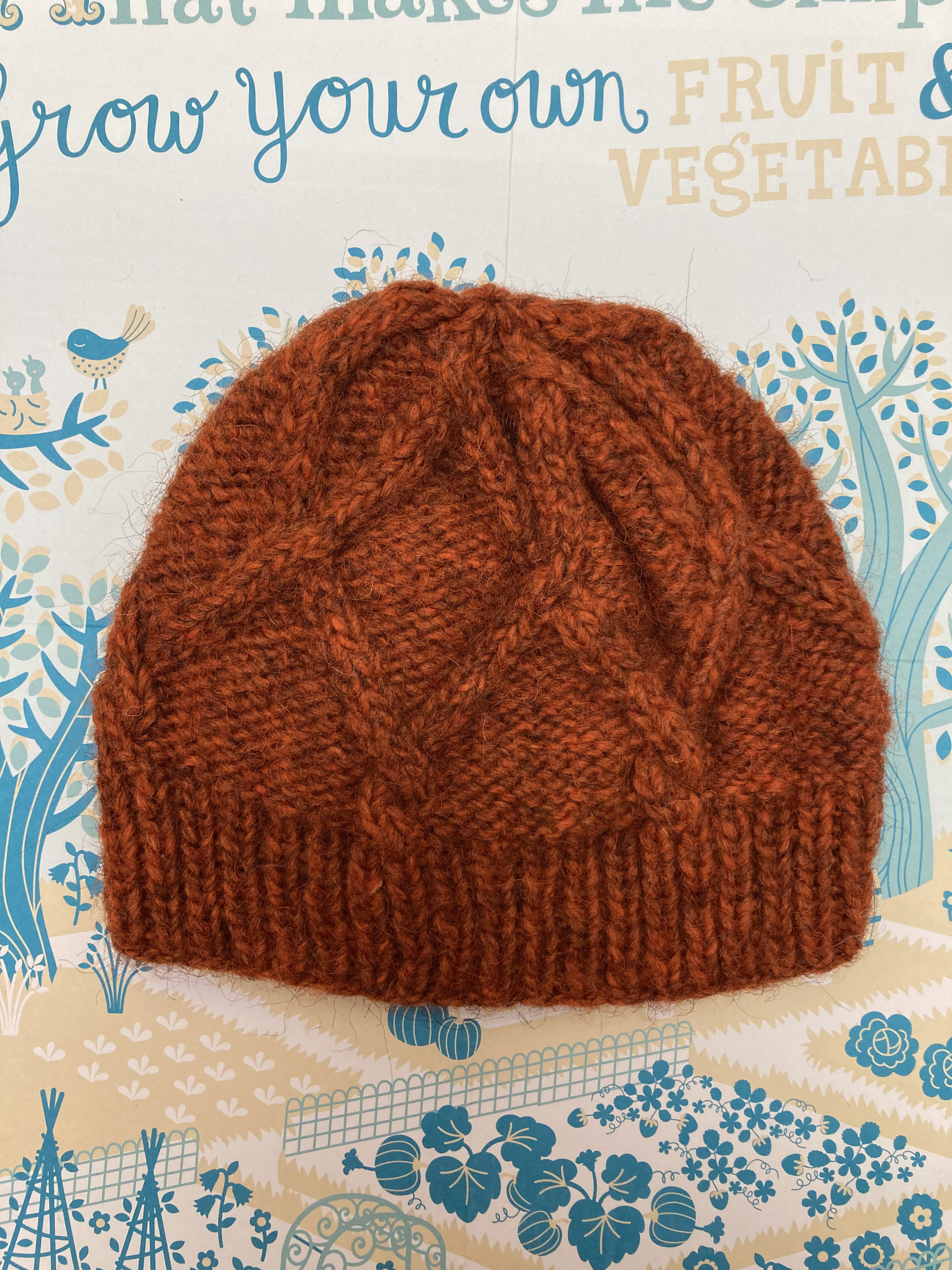 フランスより送料無料☆アランレンガ色ニット帽