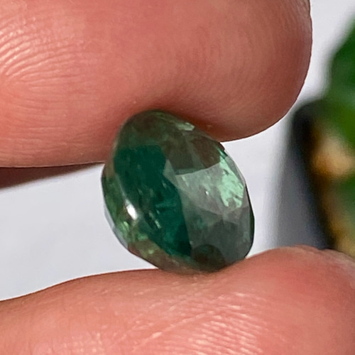 激レア♢エメラルドグリーンカイヤナイト with 虹 グリーンカイヤ