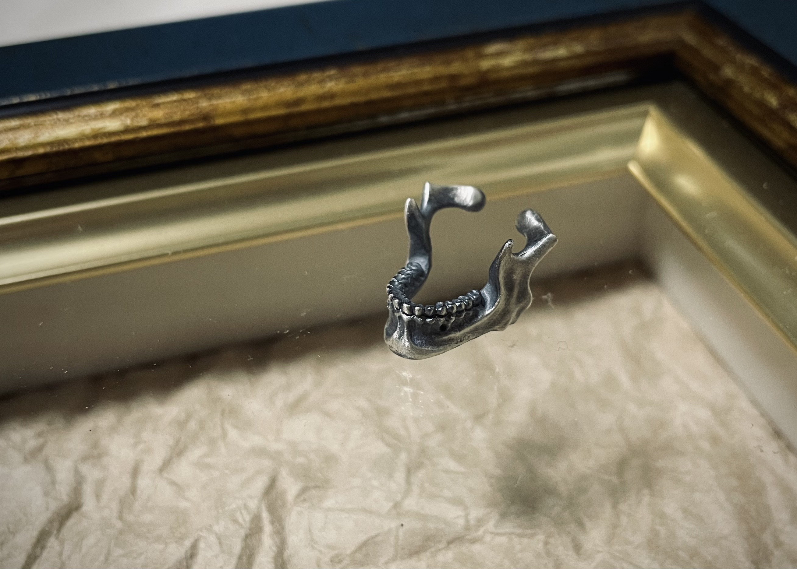 【イヤーカフ】顎骨