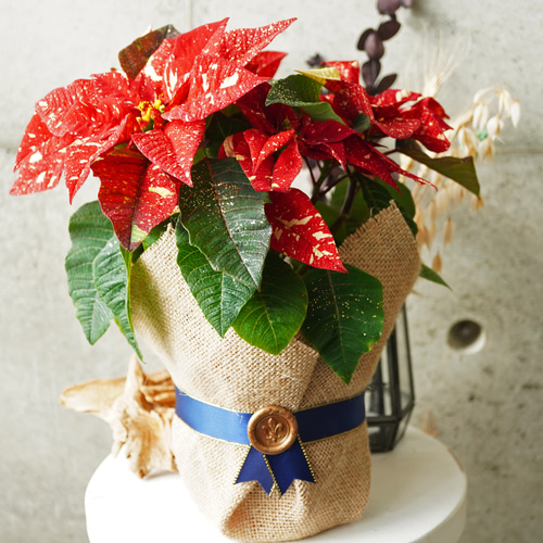 クリスマス フラワーアレンジ セット 造花 高級 ラメ入り 大型