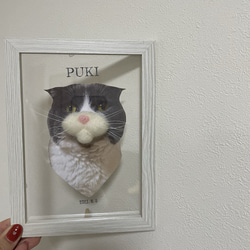 【ねこひげ　様】専用ページ：オビツ11 035802cea6947c5f88802689e5013c