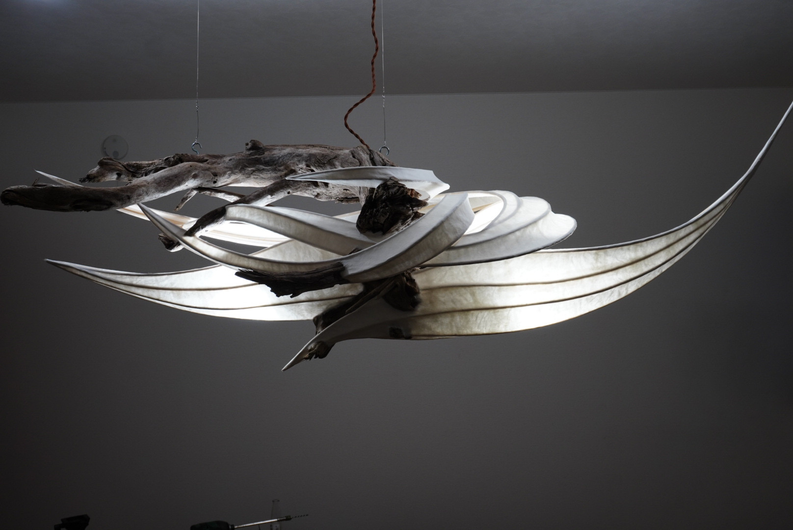 光の彫刻【knowledge】