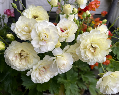 4cc4124d6a3148f17d07fb1ecfdc54