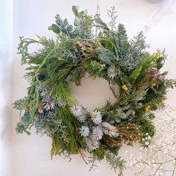 ヤドリギのアレンジ&慶福リース ヤドリギのアレンジ&慶福リース