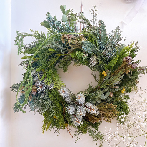 ヤドリギリース クリスマスリース フレッシュリース その他インテリア