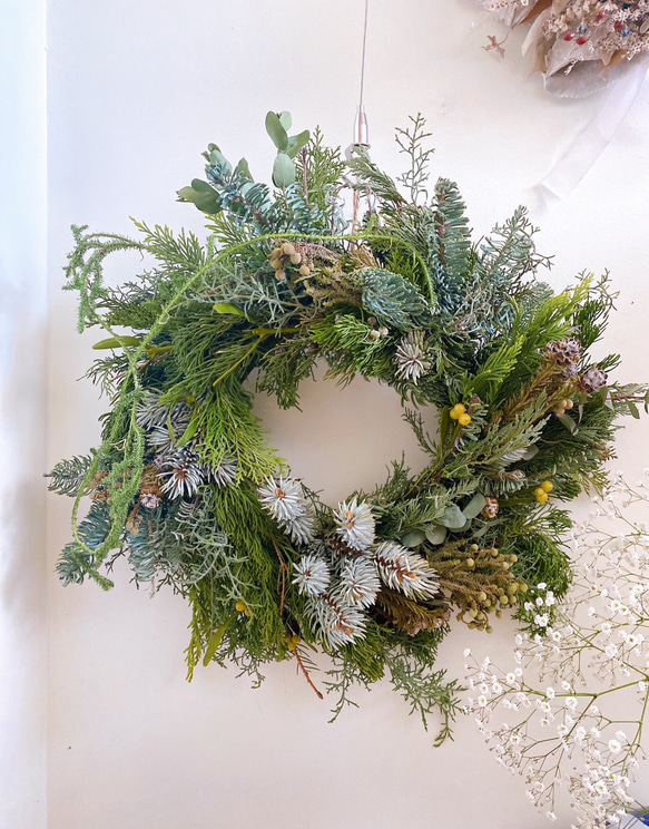 ヤドリギリース クリスマスリース フレッシュリース その他インテリア