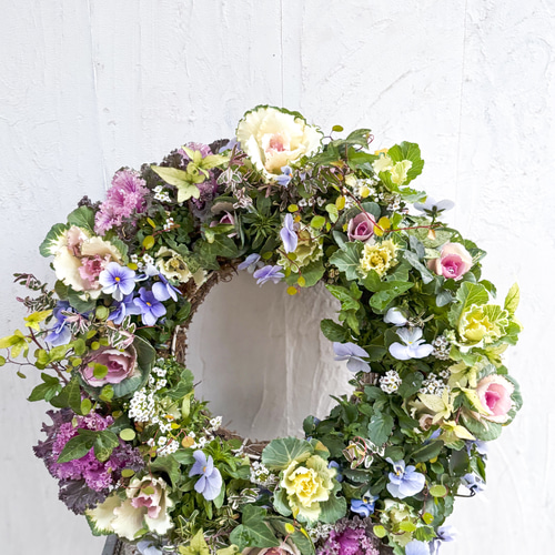 春まで楽しめるビオラと葉牡丹リース35cm ギャザリング その他素材