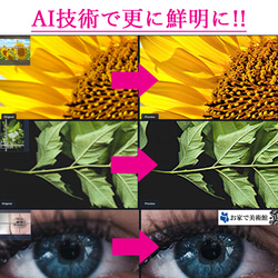  第5張的照片