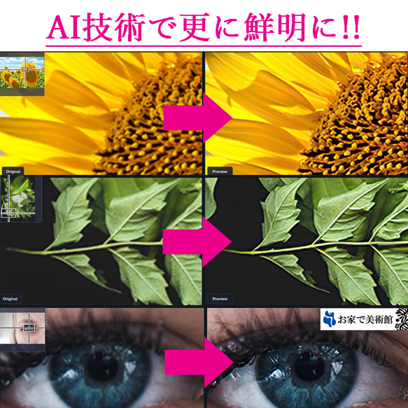  第5張的照片