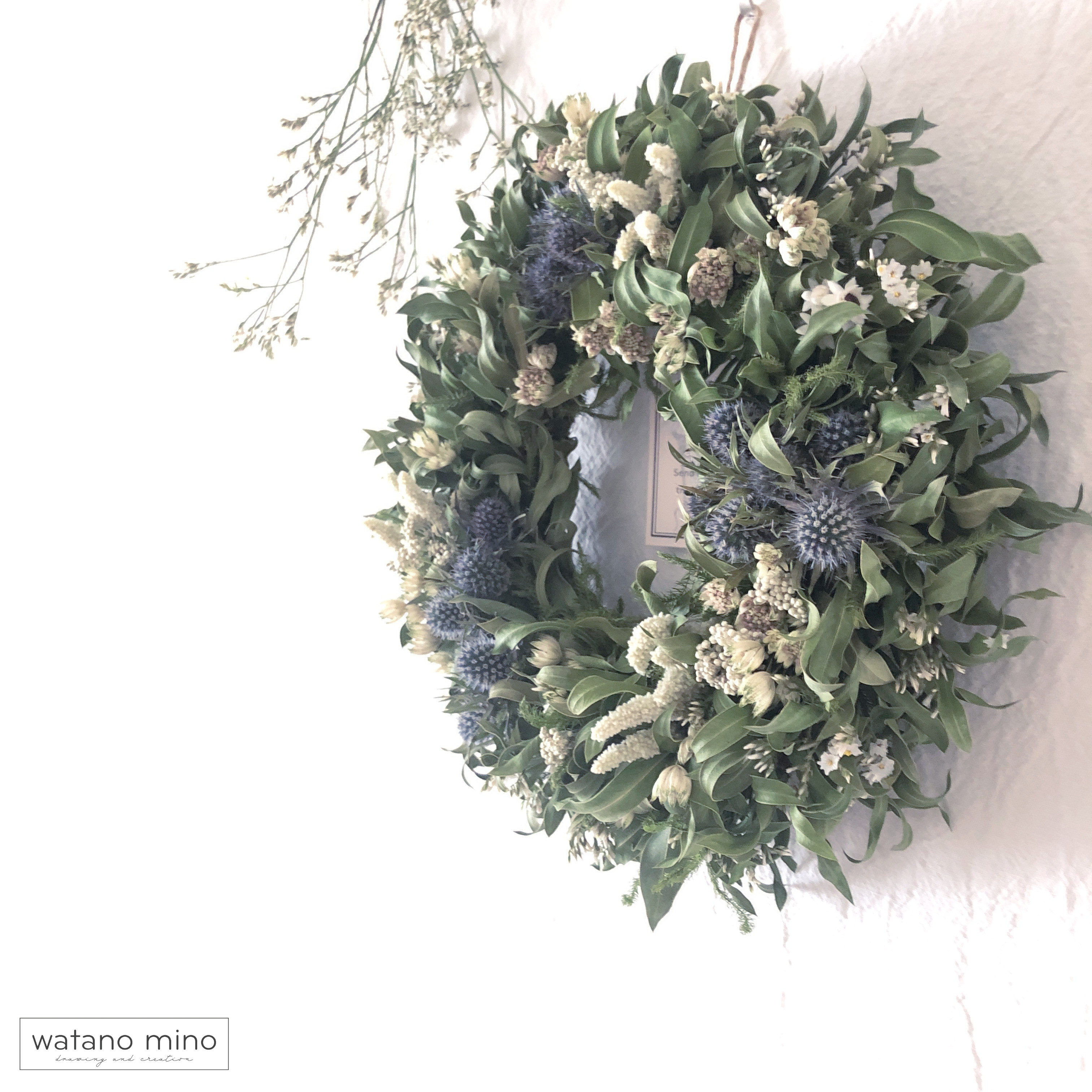 カリステモンとブルーホワイトのリース /大きなリース30-33cm