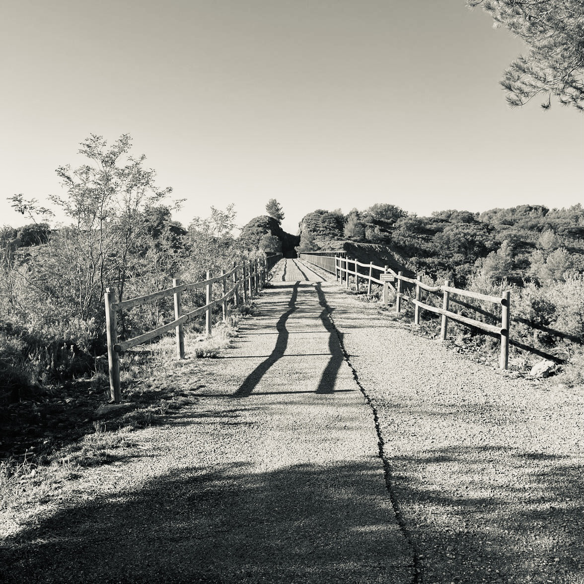 P36. Acueducto　すいどうばし リング　#13　シルバー925