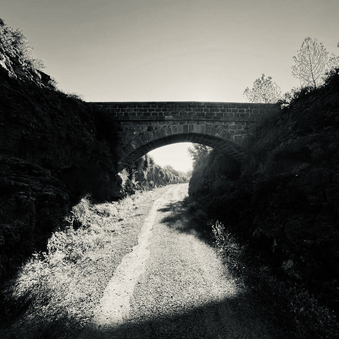 P36. Acueducto　すいどうばし リング　#13　シルバー925