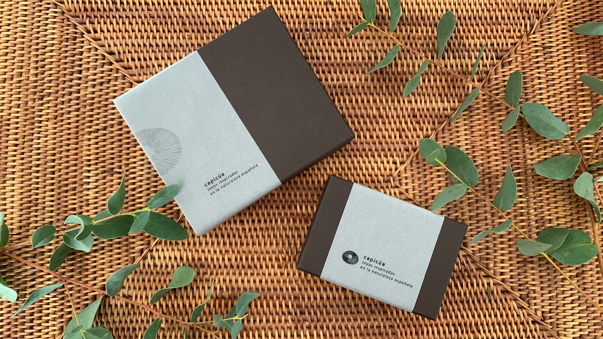 P36. Acueducto　すいどうばし リング　#13　シルバー925