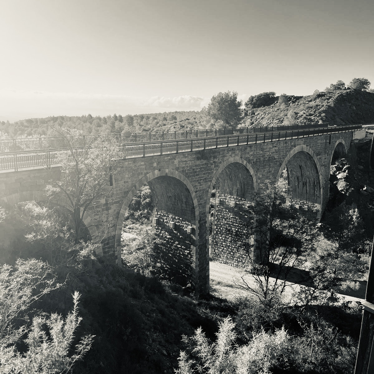 P36. Acueducto　すいどうばし リング　#13　シルバー925