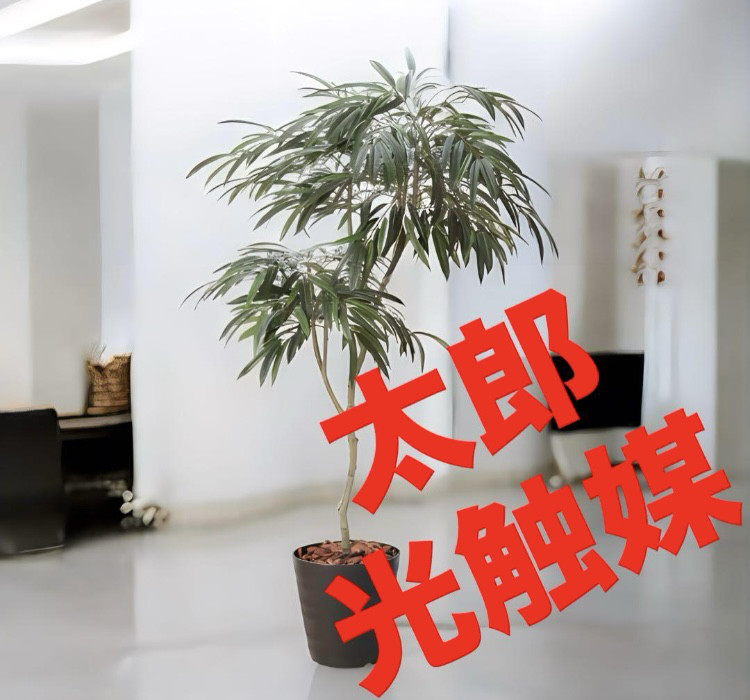 光触媒　人工観葉植物　フェイクグリーン　ショウナンゴムポット180