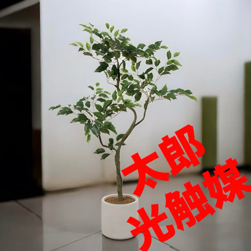 光触媒人工観葉植物ウォールグリーンフェイクグリーン