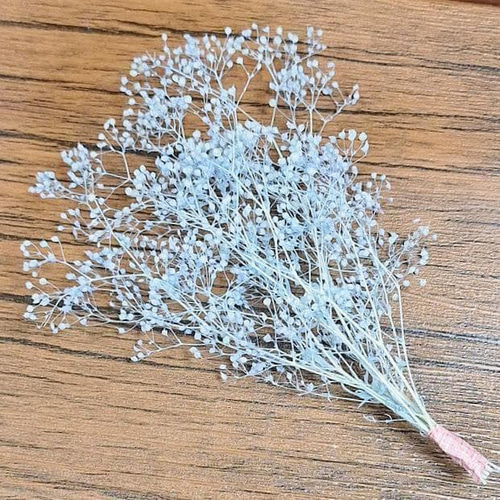 定形外郵便 送料無料】プリザーブドフラワー ライトブルー カスミソウ