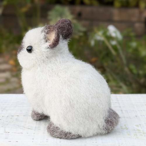 羊毛フェルト うさぎ セーブル ポイント 立ち耳 羊毛フェルト ふわっこ