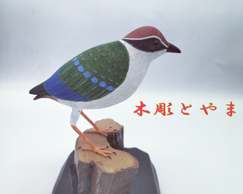 野鳥シロフクロウ　バードカービング　手彫り　リアル木彫り　ハンドメイド　一点物 ヤイロチョウ【木彫バードカービング】 立体・オブジェ 木彫とやま