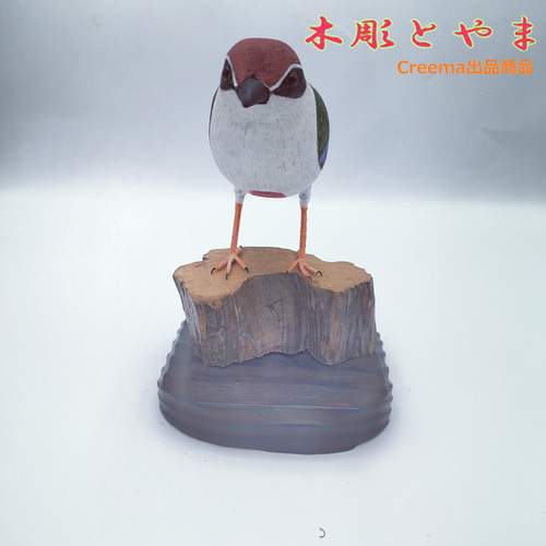 【木彫バードカービング】ヤイロチョウ ヤイロチョウ【木彫バードカービング】 立体・オブジェ 木彫