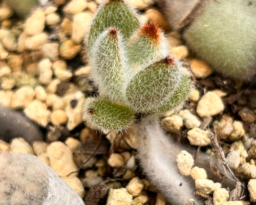 ea5988f1494d6e6d25648b5ba78438