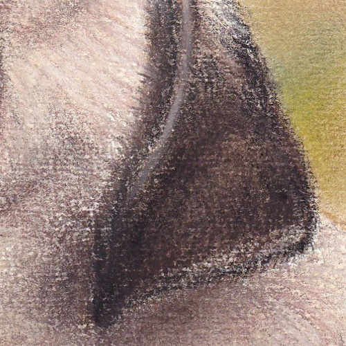 落ち葉サクサク （パステル画 原画）額装込み 絵画 にゃんずら 通販