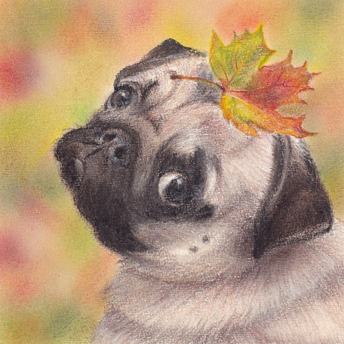 落ち葉サクサク （パステル画 原画）額装込み 絵画 にゃんずら 通販