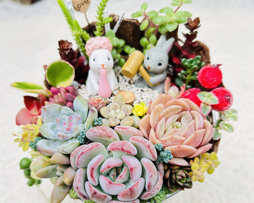 このまま飾れます】再販♡ 餅つきウサギさん♪多肉植物寄せ植え