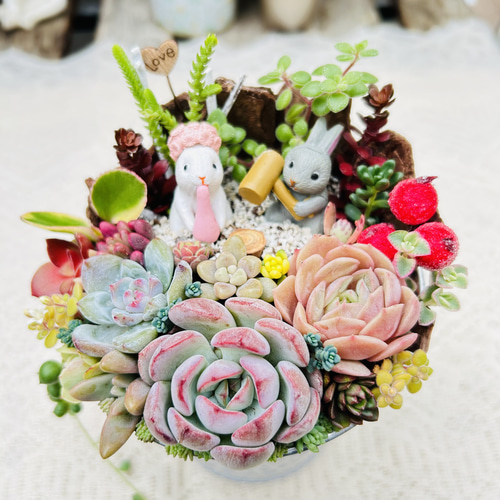 このまま飾れます】再販♡ 餅つきウサギさん♪多肉植物寄せ植え
