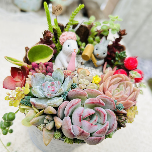 このまま飾れます】再販♡ 餅つきウサギさん♪多肉植物寄せ植え 多肉