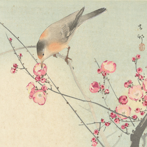 梅の枝の花 版画 208/280 額装 落款あり インテリア 楽天市場】梅の