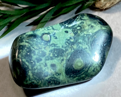 f1a987f74e2a3623cd9041c25e5080