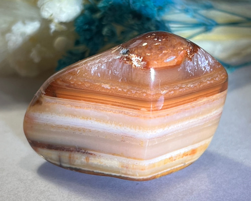 7a18e66189e1e438d48ba097f4a8a9