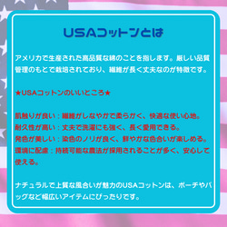 USAコットン ファスナーポーチ 街と男女柄（赤）化粧ポーチなど プチギフト 7枚目の画像