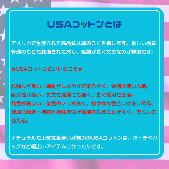 USAコットン ファスナーポーチ 街と男女柄（赤）化粧ポーチなど プチギフト 7枚目の画像