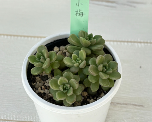 23733004fb8478238186f716fa44bd