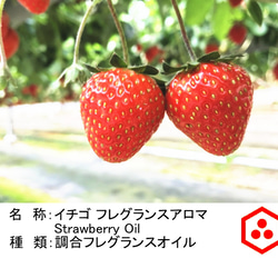 NOTOストロベリーのフレグランス 苺のアロマオイル10ml strawberry フレグランスオイル　アロマギフト 2枚目の画像
