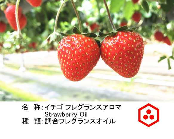 NOTOストロベリーのフレグランス 苺のアロマオイル10ml strawberry フレグランスオイル　アロマギフト 2枚目の画像