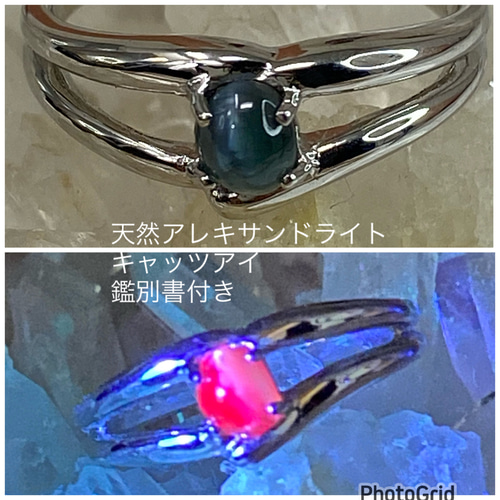 PT900 プラチナ キャッツアイ リング PT900 キャッツアイ リング – 株式会社フイッシュランド エコジェイ