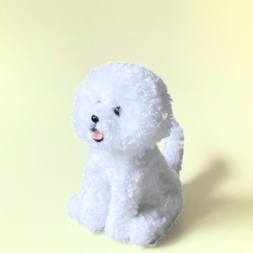 いつでもいっしょ♪ まんまるふわふわビションフリーゼ