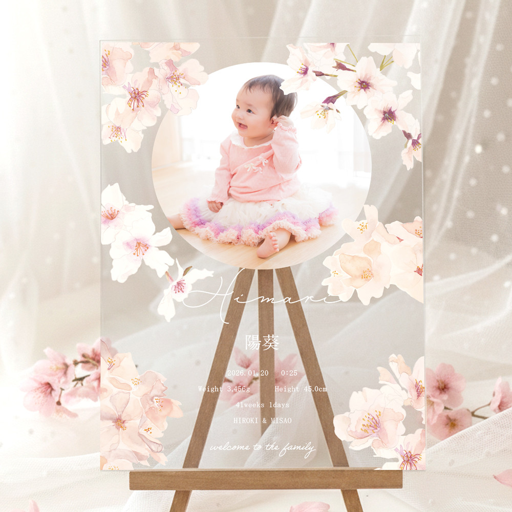 桜の命名書  オーダーメイド 写真入り 名入れ  ベビーポスター アクリル 透明